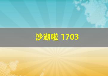 沙湖啦 1703